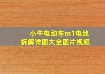 小牛电动车m1电池拆解详图大全图片视频