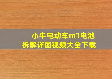 小牛电动车m1电池拆解详图视频大全下载