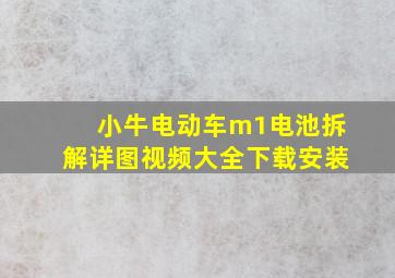 小牛电动车m1电池拆解详图视频大全下载安装