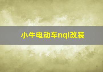 小牛电动车nqi改装