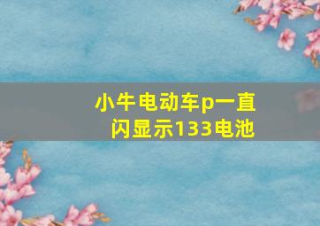 小牛电动车p一直闪显示133电池