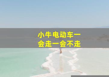 小牛电动车一会走一会不走