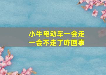 小牛电动车一会走一会不走了咋回事