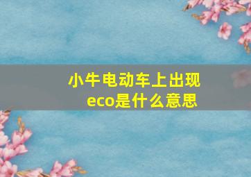 小牛电动车上出现eco是什么意思