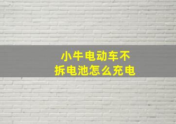 小牛电动车不拆电池怎么充电