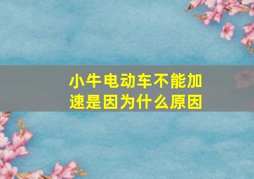 小牛电动车不能加速是因为什么原因