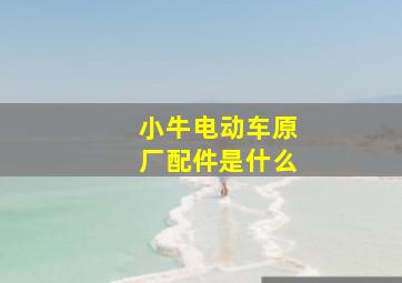 小牛电动车原厂配件是什么