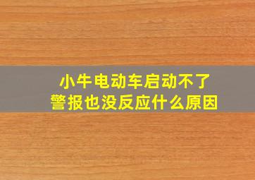 小牛电动车启动不了警报也没反应什么原因