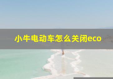 小牛电动车怎么关闭eco