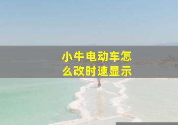 小牛电动车怎么改时速显示