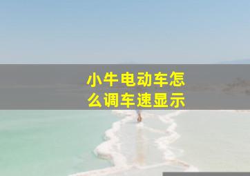 小牛电动车怎么调车速显示