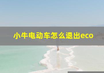 小牛电动车怎么退出eco