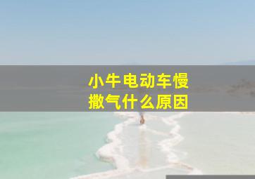 小牛电动车慢撒气什么原因