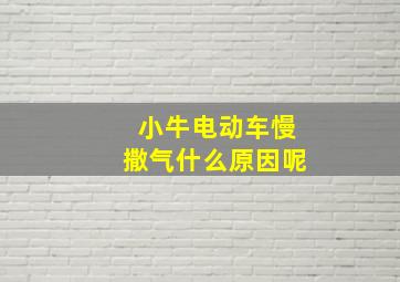 小牛电动车慢撒气什么原因呢