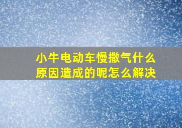 小牛电动车慢撒气什么原因造成的呢怎么解决