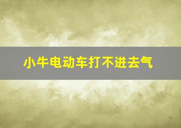 小牛电动车打不进去气