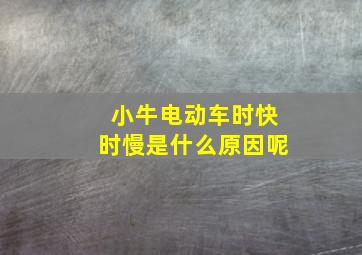 小牛电动车时快时慢是什么原因呢