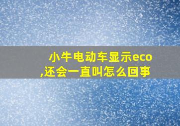 小牛电动车显示eco,还会一直叫怎么回事