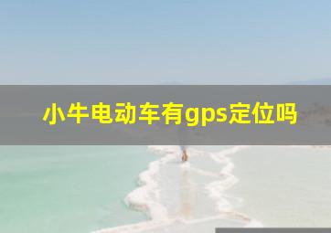 小牛电动车有gps定位吗