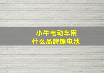 小牛电动车用什么品牌锂电池