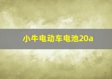 小牛电动车电池20a