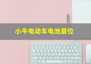 小牛电动车电池复位