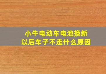 小牛电动车电池换新以后车子不走什么原因