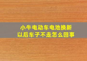 小牛电动车电池换新以后车子不走怎么回事