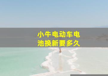 小牛电动车电池换新要多久