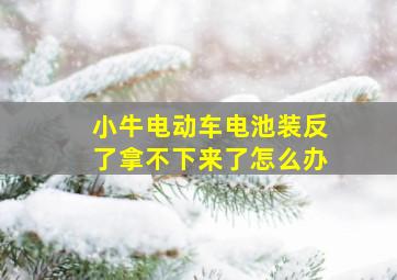 小牛电动车电池装反了拿不下来了怎么办