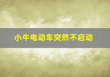 小牛电动车突然不启动