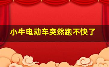 小牛电动车突然跑不快了