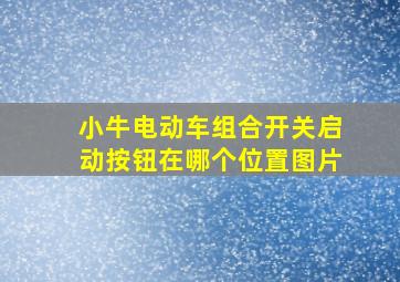 小牛电动车组合开关启动按钮在哪个位置图片