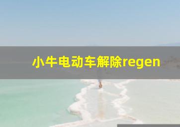 小牛电动车解除regen