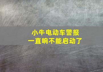 小牛电动车警报一直响不能启动了