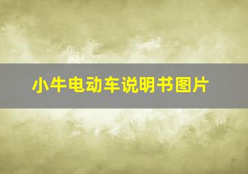 小牛电动车说明书图片