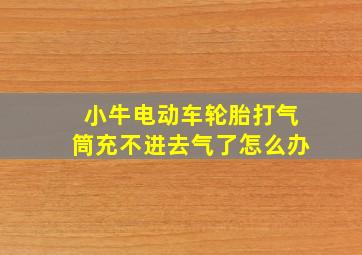 小牛电动车轮胎打气筒充不进去气了怎么办