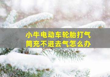 小牛电动车轮胎打气筒充不进去气怎么办