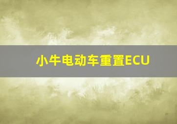 小牛电动车重置ECU