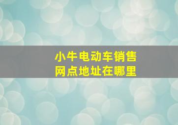 小牛电动车销售网点地址在哪里