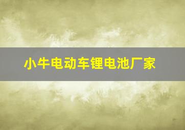 小牛电动车锂电池厂家