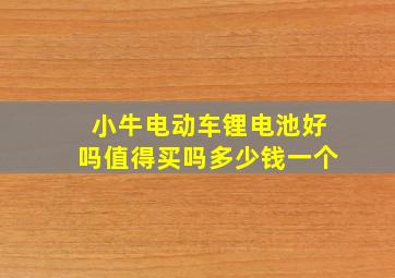 小牛电动车锂电池好吗值得买吗多少钱一个