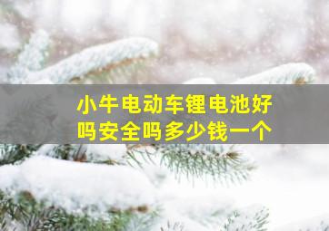 小牛电动车锂电池好吗安全吗多少钱一个