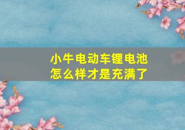 小牛电动车锂电池怎么样才是充满了