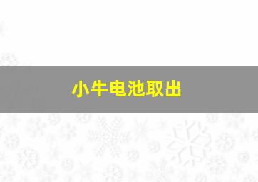 小牛电池取出