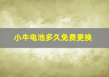 小牛电池多久免费更换