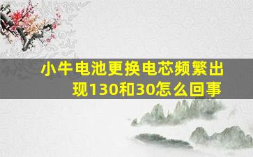 小牛电池更换电芯频繁出现130和30怎么回事