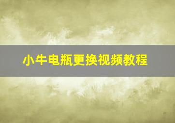 小牛电瓶更换视频教程