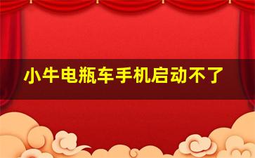 小牛电瓶车手机启动不了