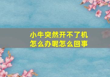 小牛突然开不了机怎么办呢怎么回事